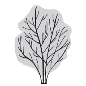 Tree silhouette 68